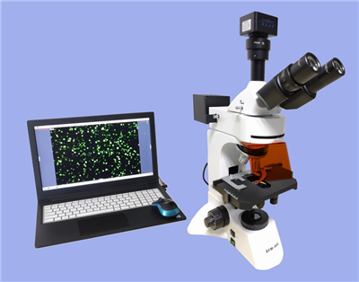 正置熒光顯微鏡DFM-66C